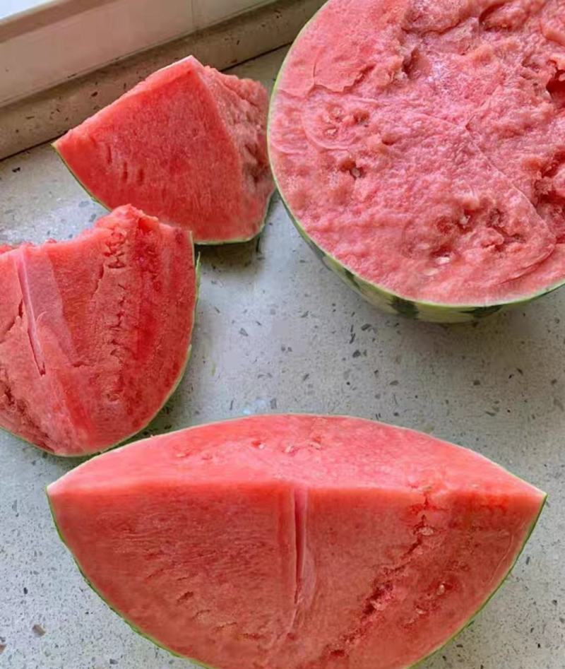 [美都西瓜批发]自家种植精品无籽美都黑籽美都 皮薄肉脆 需要的老板来