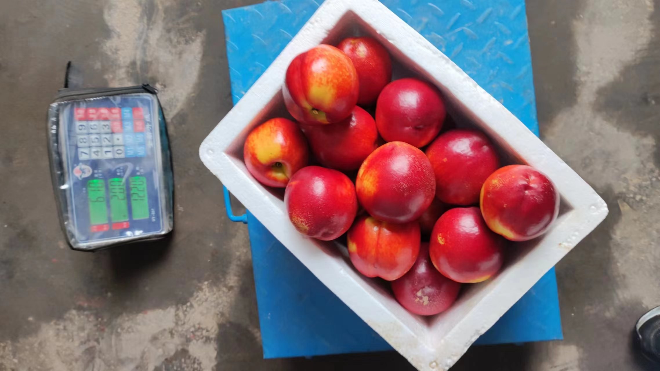 消费者在超市挑选优质油桃的场景