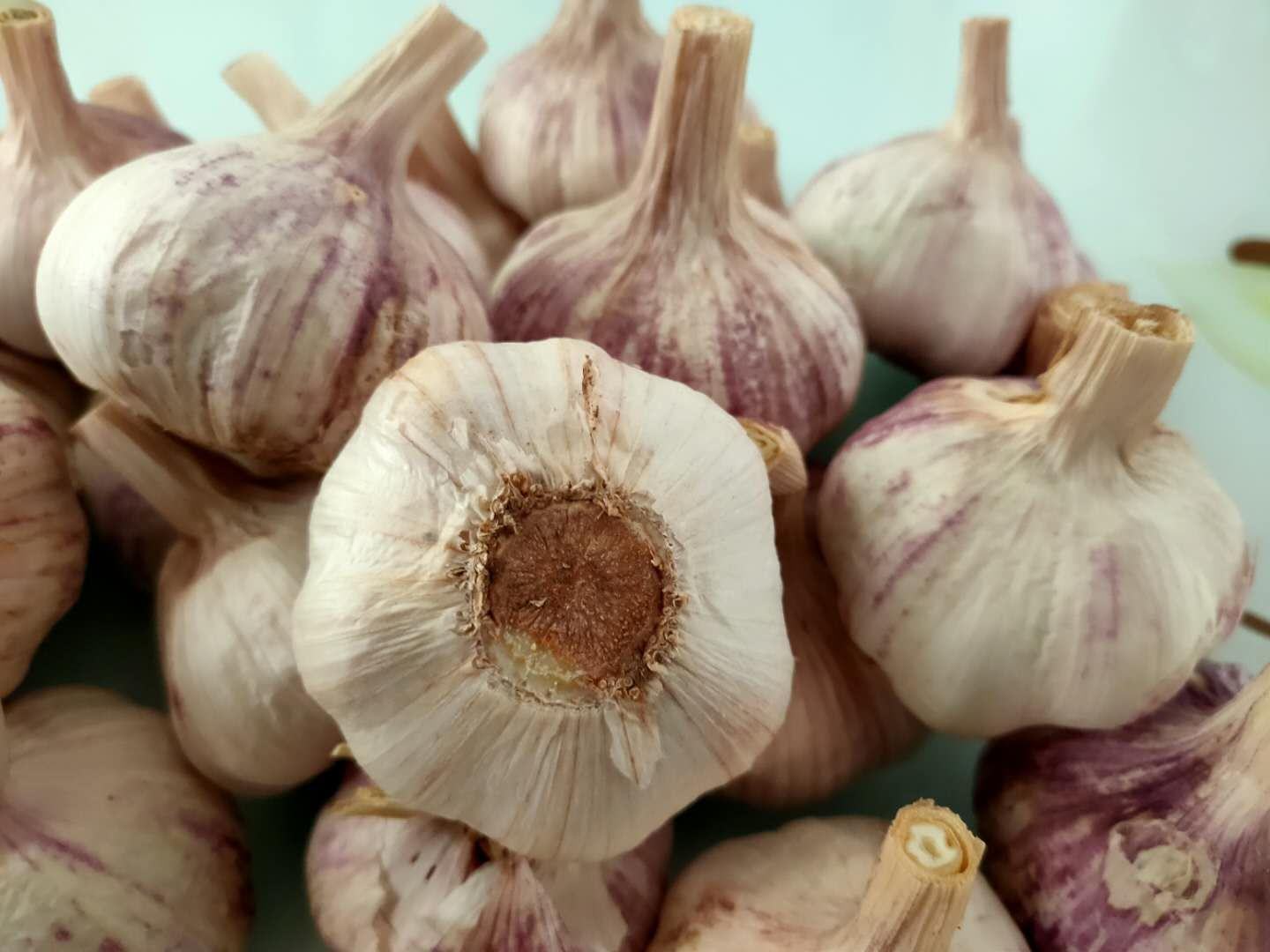 黑蒜皮特写