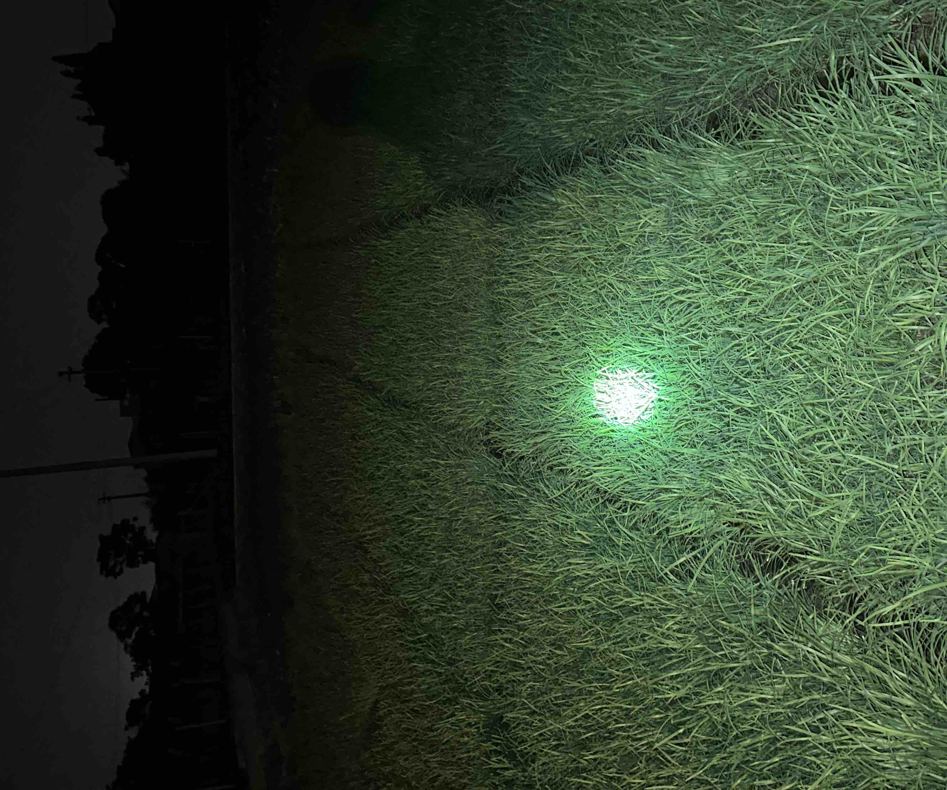 韭菜头熬水过程示意图