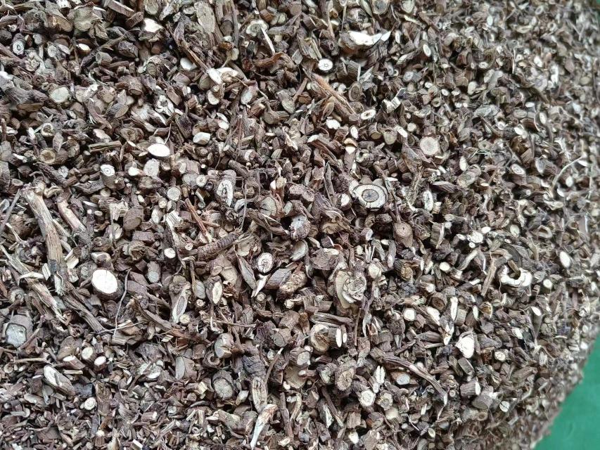 北柴胡干燥切片,展示其药用形态与质地 北柴胡药用切片图