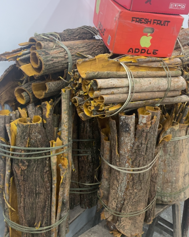 黄白皮,已晒干.