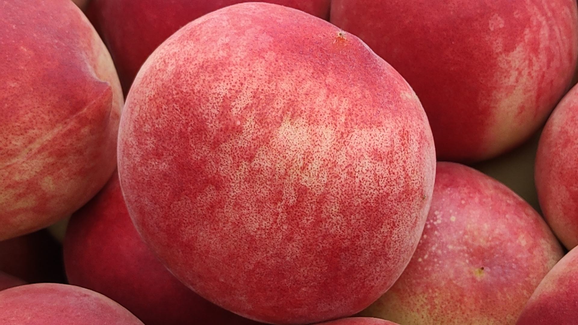 红桃K扑克牌特写