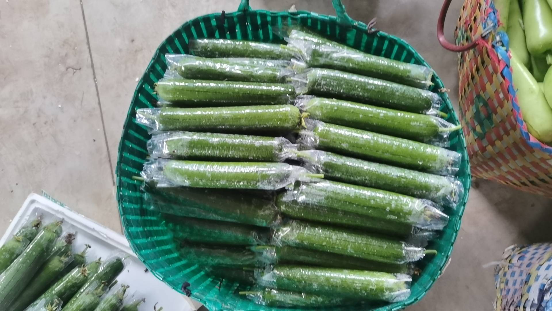 丝瓜横截面展示,清晰显示果肉与外皮之间的结构差异,强调丝瓜皮的厚度和质地 丝瓜切开剖面图