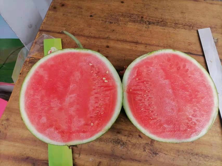 成熟的8424西瓜被横向切开,露出鲜红多汁的果肉,黑褐色的种子均匀分布在果腔内,背景为田间土壤环境,光线自然 8424西瓜果实剖面图展示红色果肉与黑色种子分布