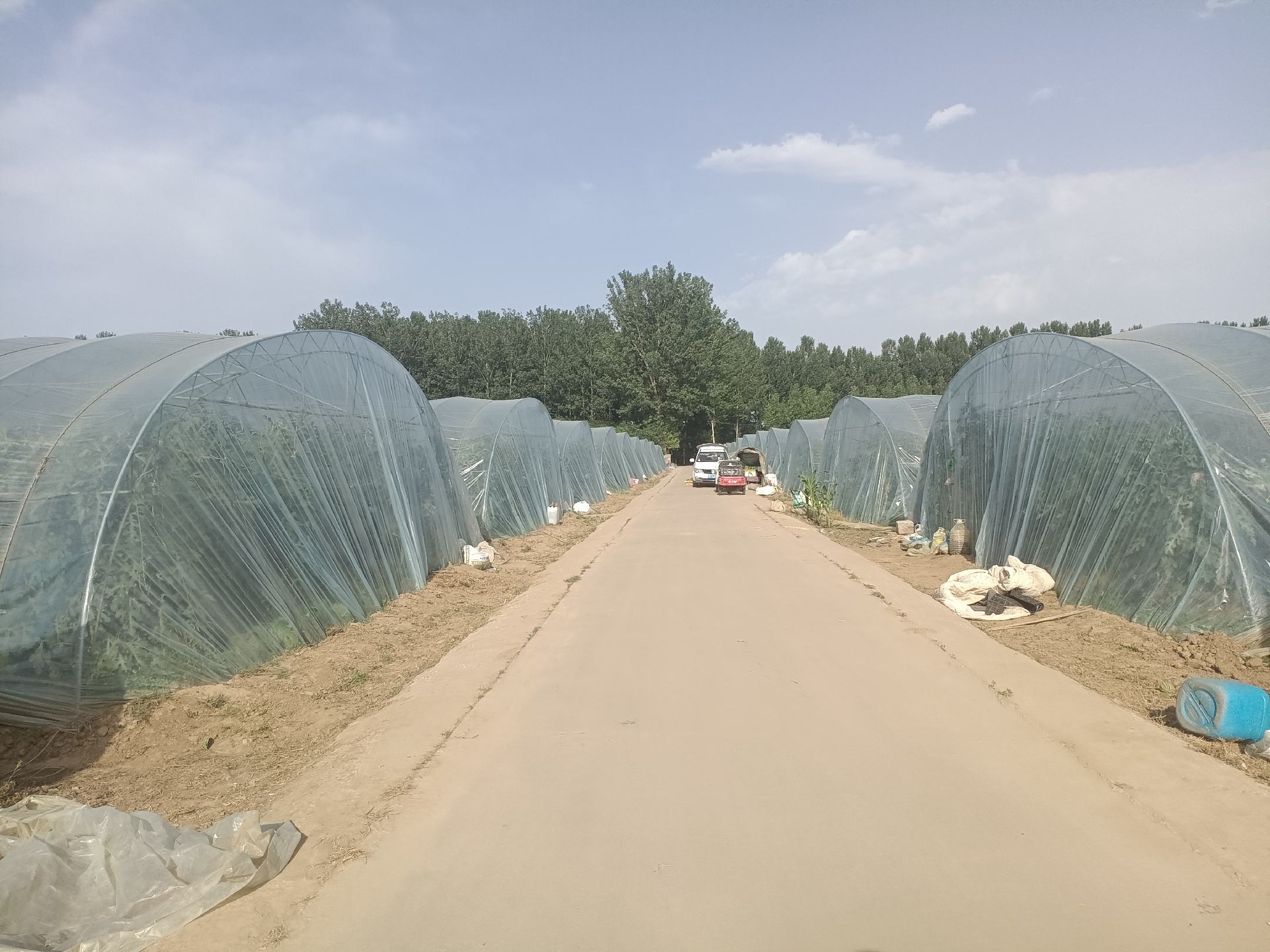 美都麒麟西瓜种植基地航拍全景