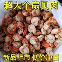 扇贝肉特大号新鲜速冻扇贝肉各大带黄黄无沙批发20，40规