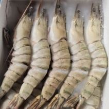 黑虎虾，工厂直发