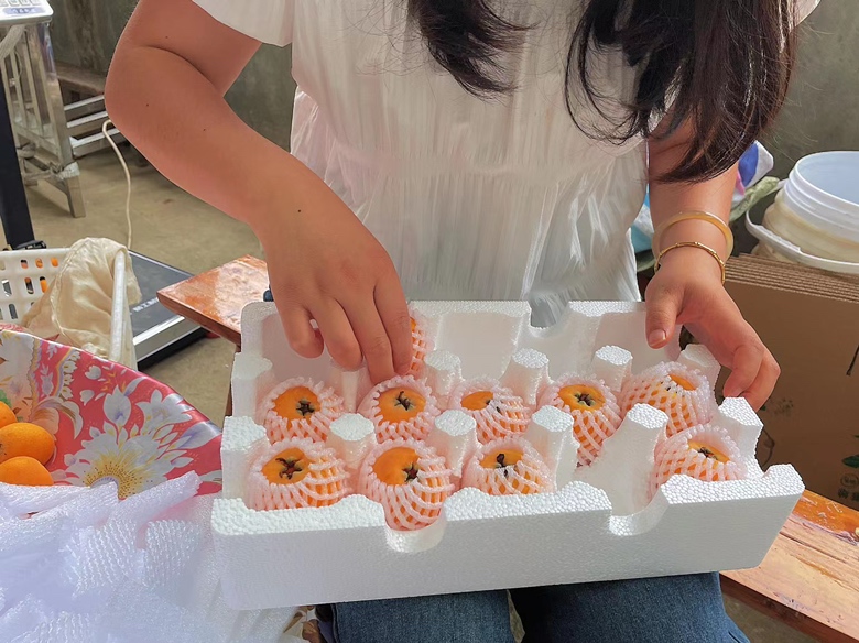 一位年轻人正在食用新鲜枇杷
