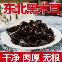 【热卖推荐】东北特产黑木耳小碗秋耳量大从优欢迎选购