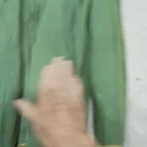 安徽芦苇叶