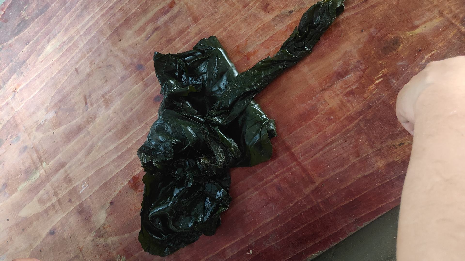 霉变与新鲜海带对比图