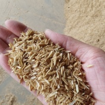 长短稻壳