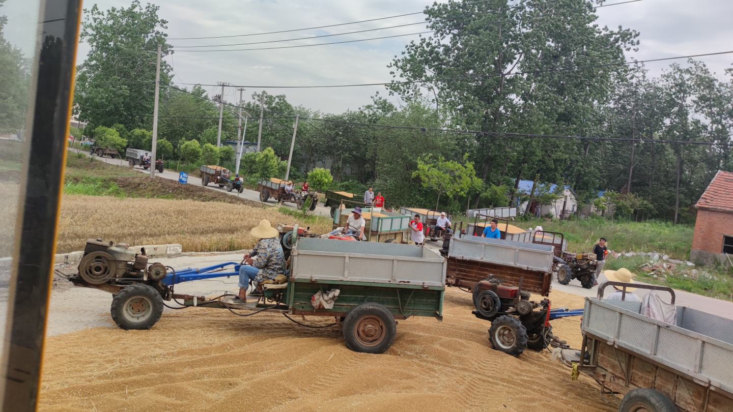 图片说明:一台现代化联合收割机正在田野中作业,远处是整齐划一的甘蓝型油菜种植区,展现了现代农业的机械化水平 现代化甘蓝型油菜种植场景