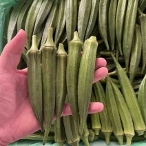 水果秋葵全渠道对接量稳价稳