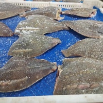 石浆鱼