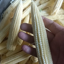 甜玉米笋，大量有货，需要的工厂，市场联