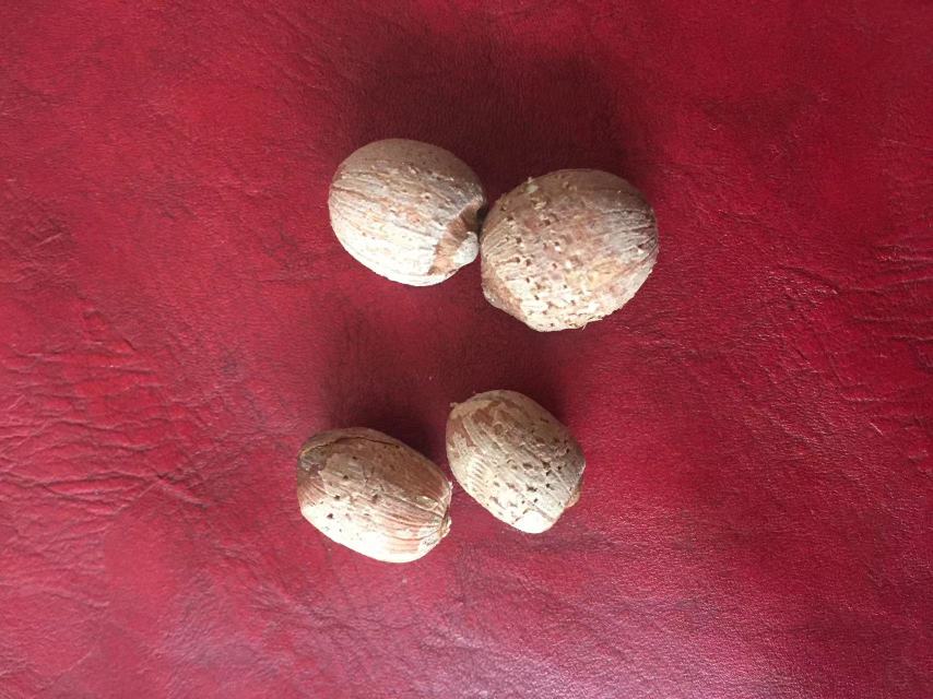 莲子在婚礼中的象征意义