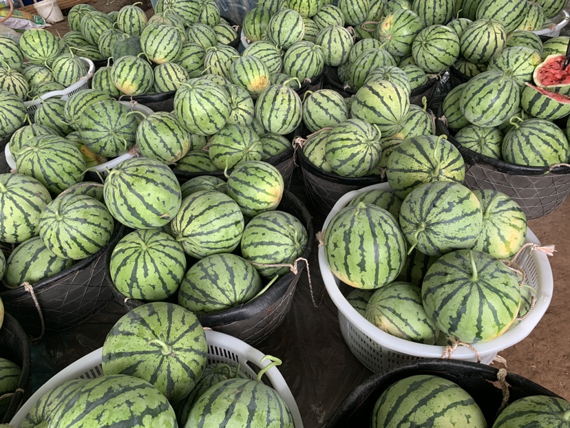 无籽8424西瓜在超市货架上的销售场景