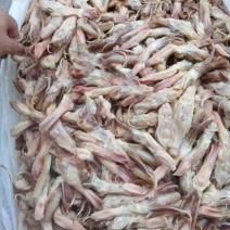 鸭舌
