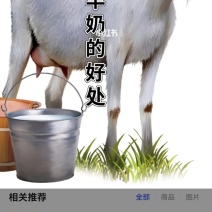 纯羊奶