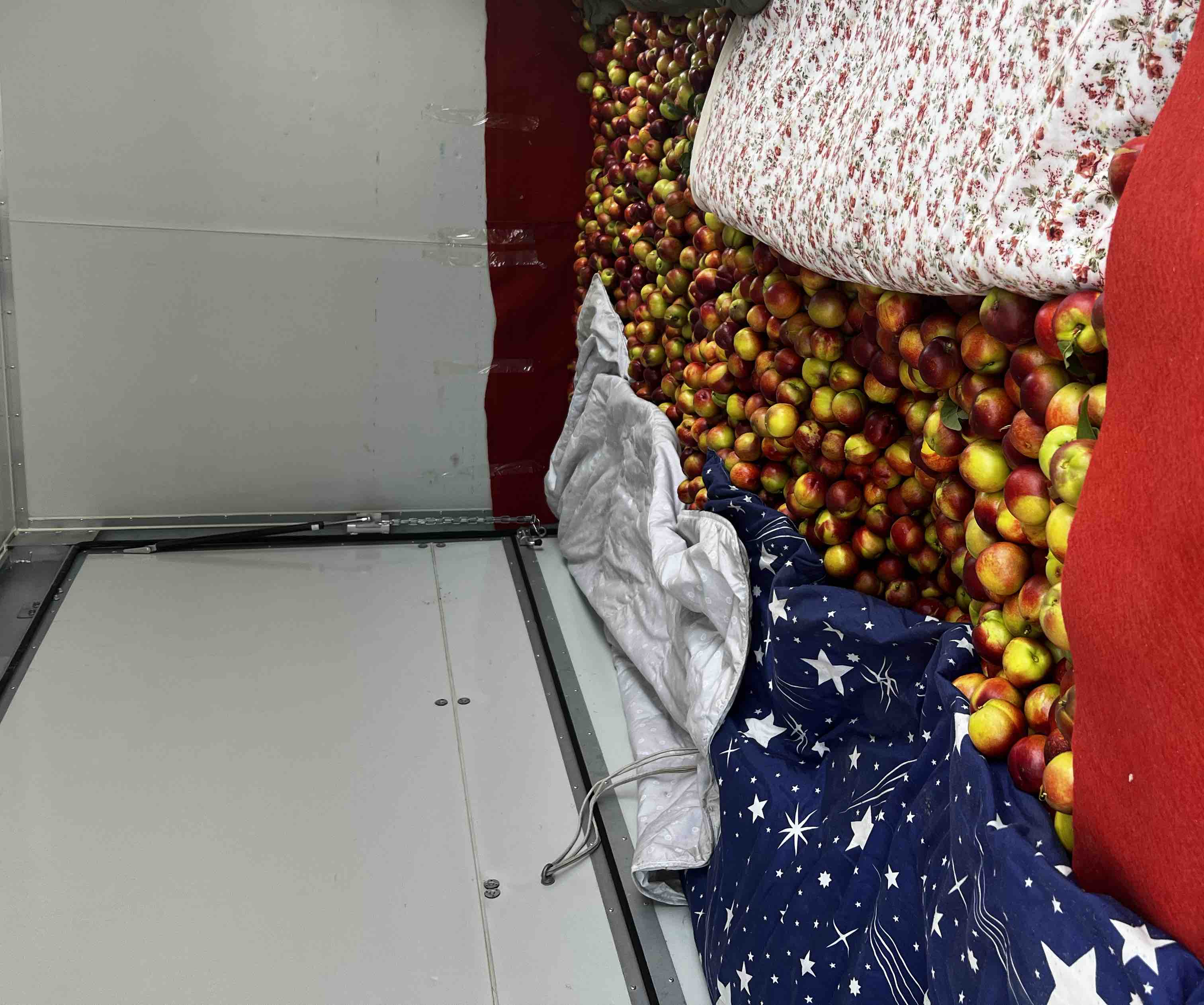 展示518油桃在打包发货现场,包装精美,物流高效,体现电商销售的标准化流程 518油桃包装与电商发货现场