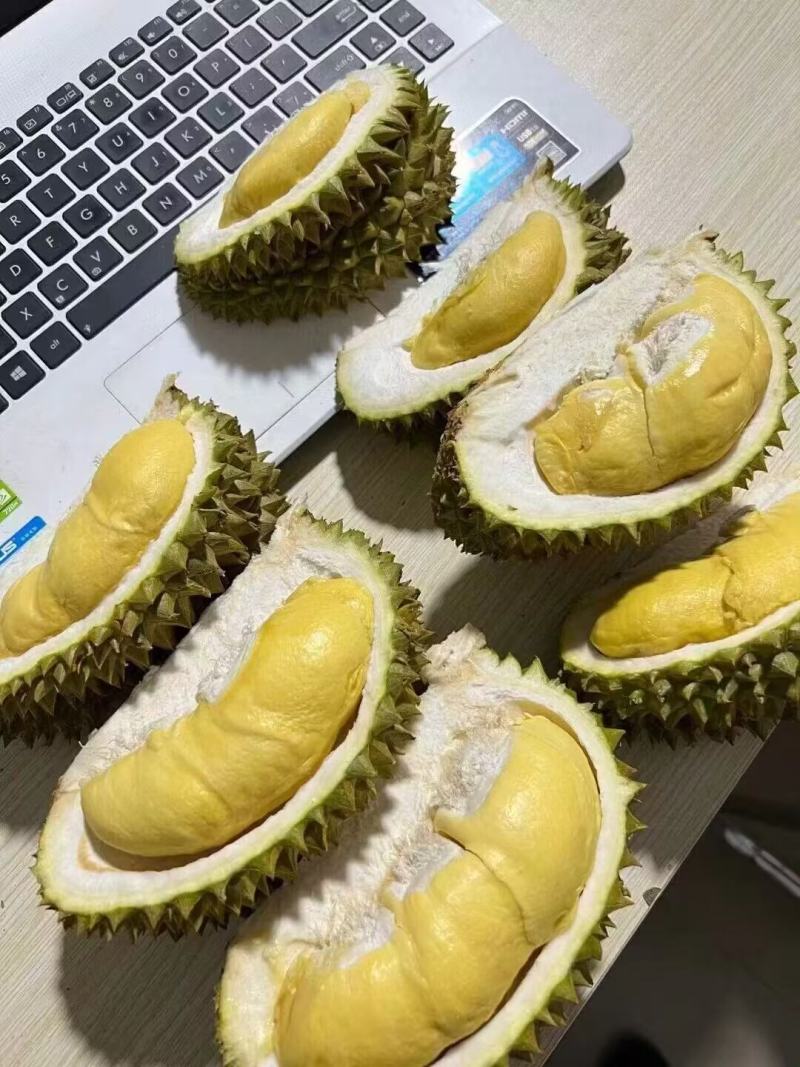 [金枕头榴莲批发]泰国金枕榴莲价格9.50元/斤 - 一亩田