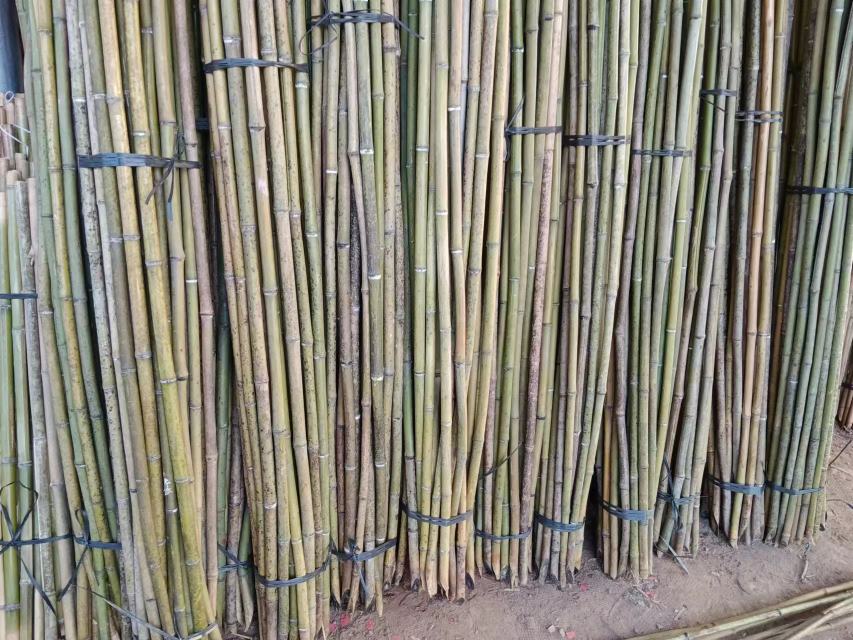 “人”字形搭架示意图