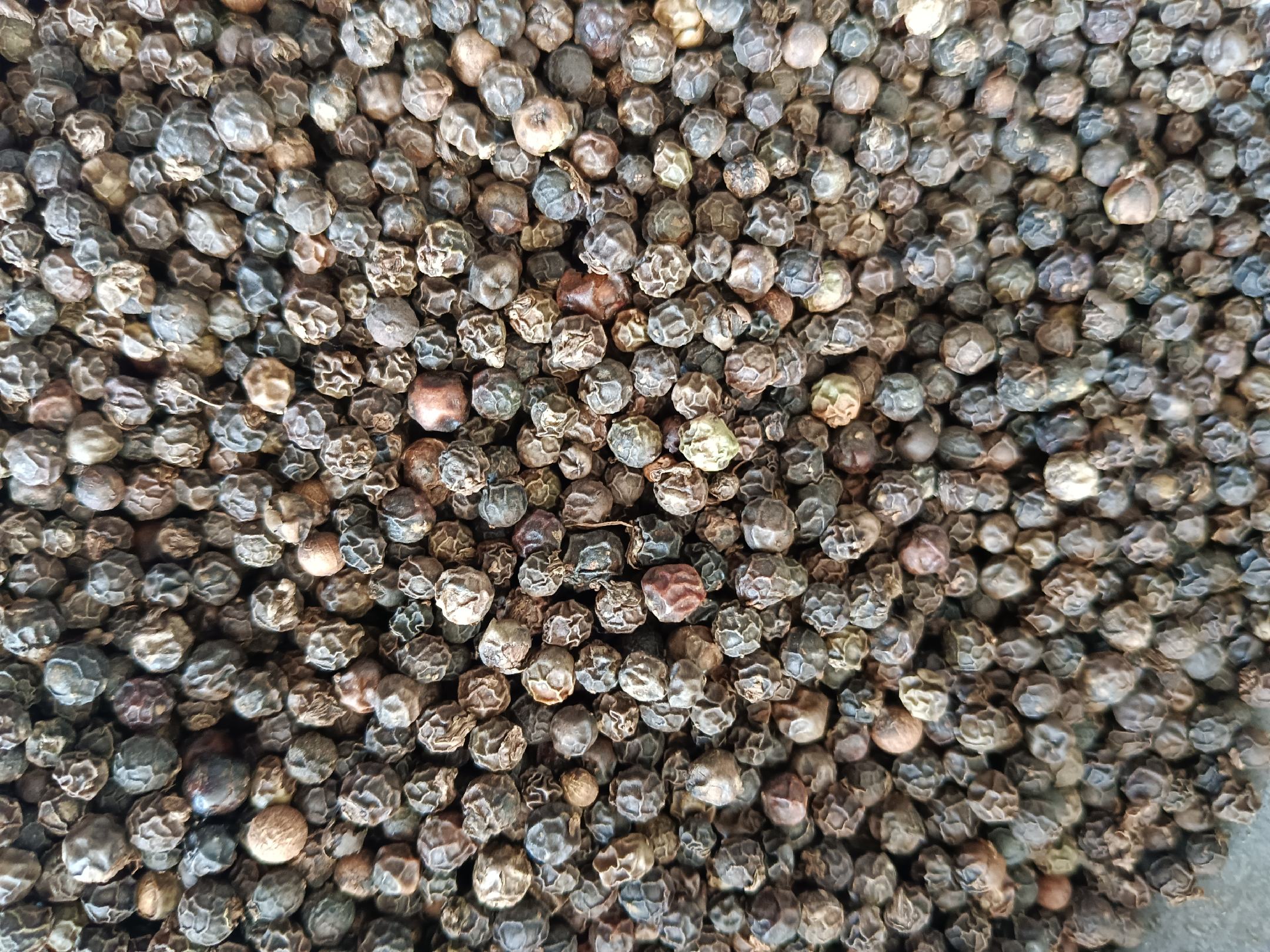 黑胡椒的植物来源与果实特写