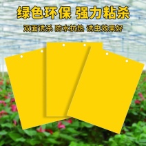 黄板双面粘虫板诱虫板贴纸灭小飞虫沾果蝇诱捕器果园蚊子苍蝇