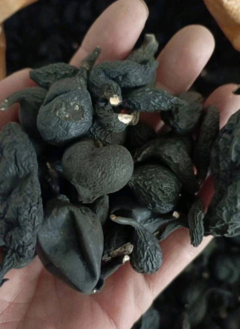 [乌灵参批发]中药材乌灵参价格3380.00元/斤 - 一亩田