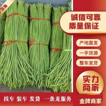 精品长豆角原产地一手货源每天现采现发质量保证