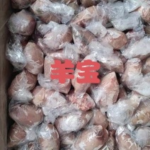 【羊宝】当地草原羊的羊蛋！新鲜速冻箱装一件四十斤，个头均