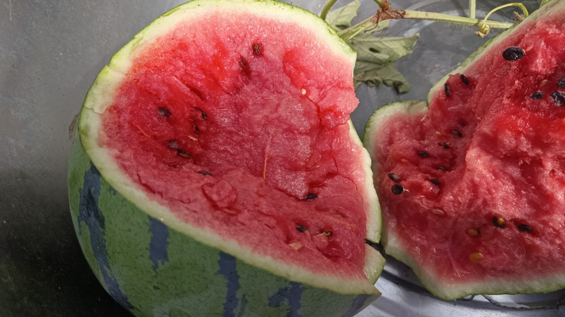 切开的京欣西瓜展示内部品质