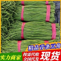 豆角，青条豆角直供产地，对接电商平台，销售各大市场