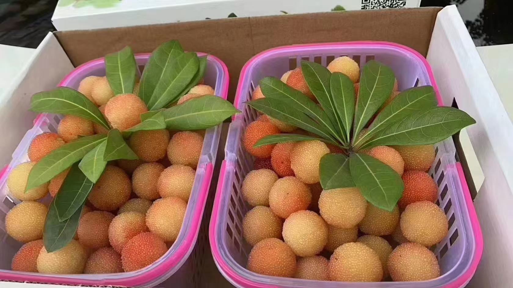 玻璃广口罐中盛放着糖渍中的东魁杨梅,果实饱满深紫,部分已半透明,沉于浓稠琥珀色糖浆底部,罐口可见细密气泡,背景为木质料理台与不锈钢糖勺,体现家庭手工制作场景 东魁杨梅糖渍制作过程特写
