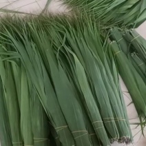 苇叶，可议30吨