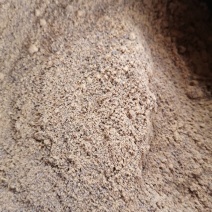 茶籽油