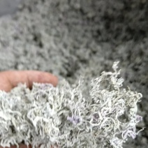 永顺莓茶对接电商市场商超等各类客户
