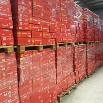 娃哈哈八宝粥，达利园八宝粥大量现货
