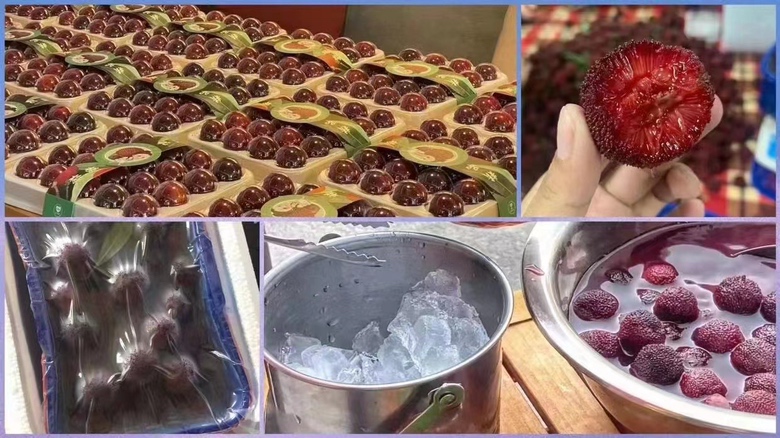 东魁杨梅果酒与果酱制作