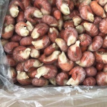 厂家直发特A级龙虾尾规格4.5斤100粒