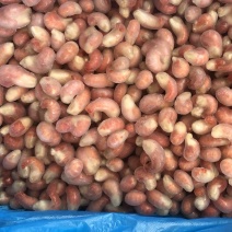 工厂三级龙虾尾家庭版龙虾尾商超社区团购电商平台
