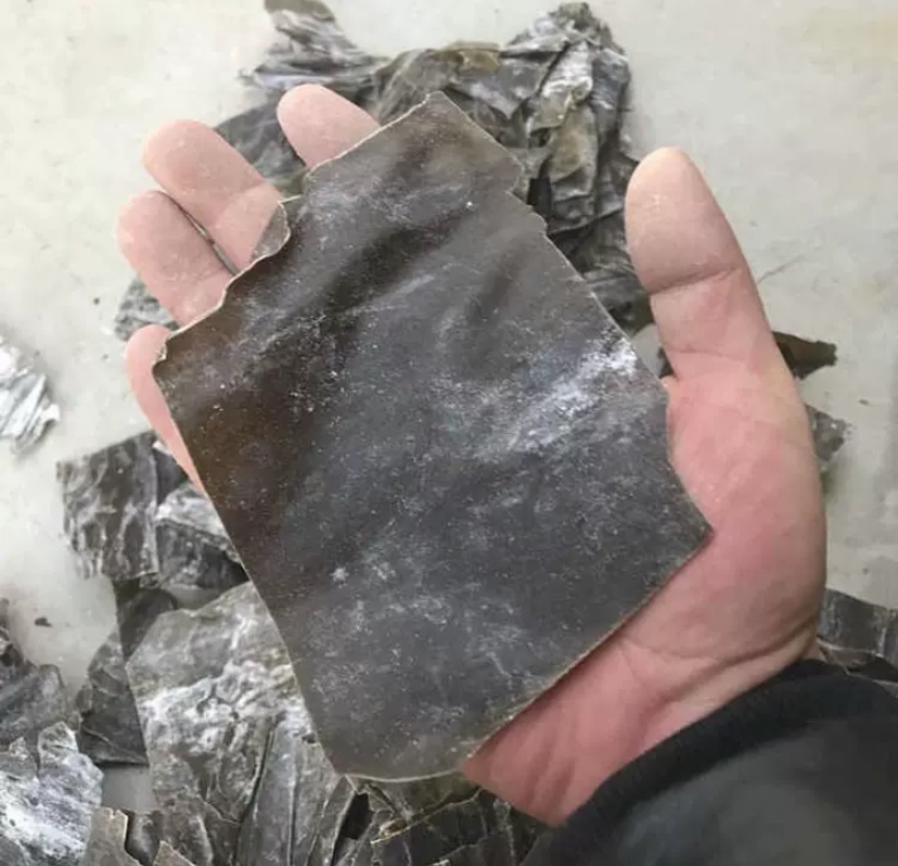 干海带在密封罐中保存