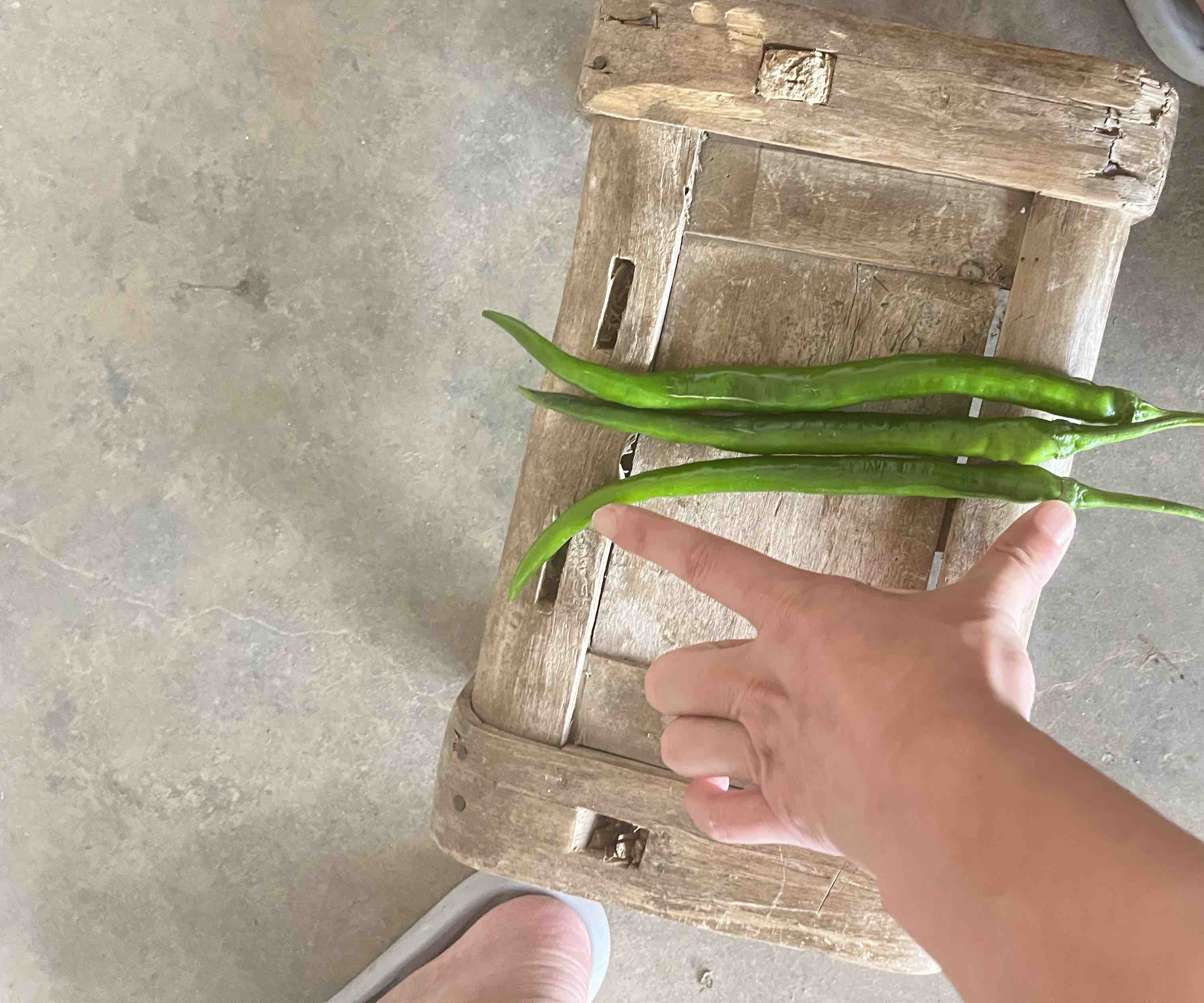 线椒与小米椒对比图