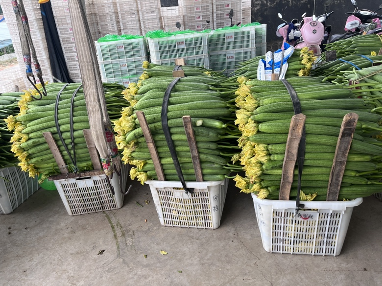 丝瓜花烹饪示意图