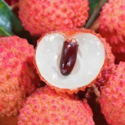 广西贵港麻垌荔枝价格行情走势 - 一亩田