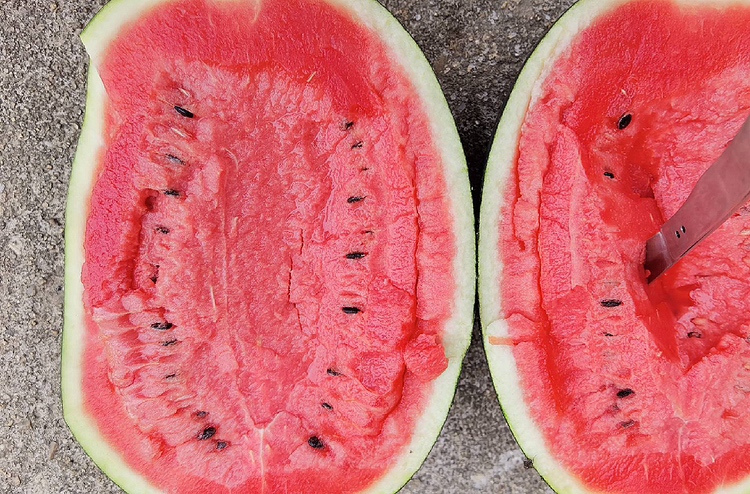 黑美人西瓜外观