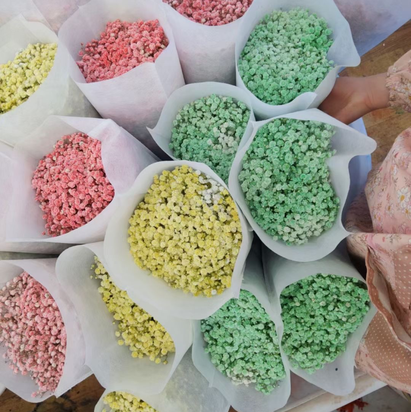 云南昆明呈贡区满天星 25.00元/袋吸色彩星