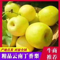 梨蜂糖梨丁香梨基地直供全国发货量大从优